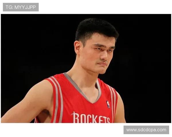 德隆与姚明的传奇对决：NBA历史上的经典时刻与友谊故事