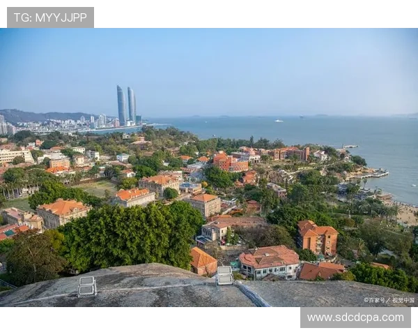 厦门姚明娟:探索城市文化与艺术的交融之旅