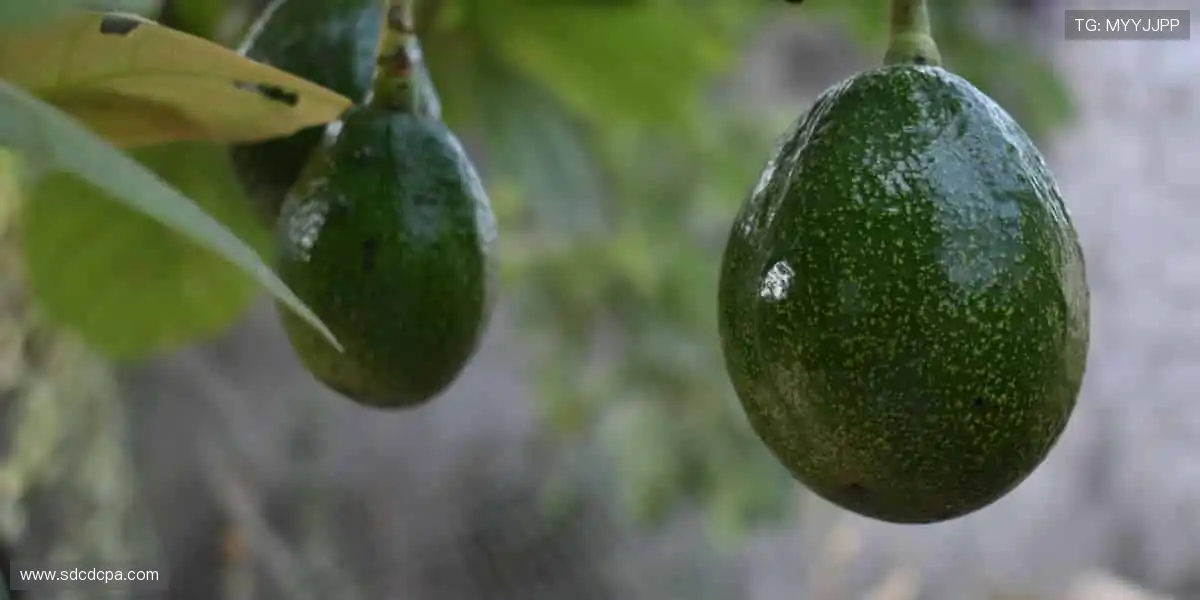 💥潮流装备，让运动与时尚完美碰撞！